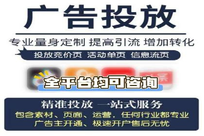 百度SEO推广策略：如何快速提升网站排名？——案例详解